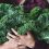 1296x728_Is_Kale_a_Good_Source_of_Protein