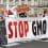 GMOs-tasty-or-toxic-part-2-web-760x600